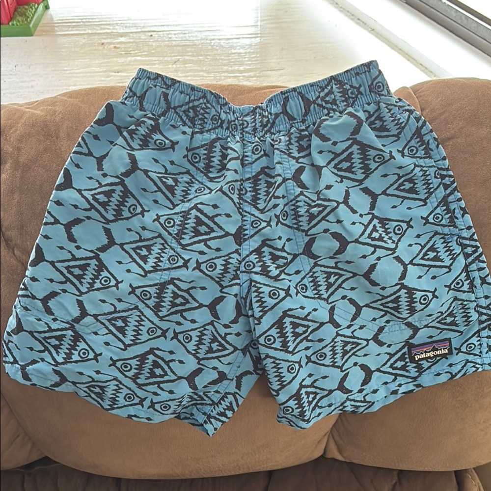 Patagonia Blue Geometric Board Shorts